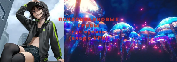 молекула духа Кулебаки