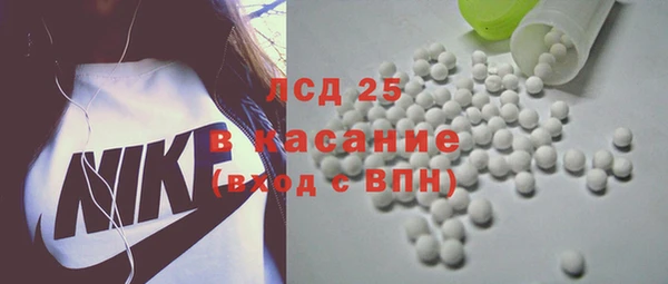 дживик Лагань