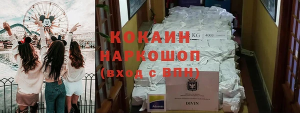 дживик Лагань