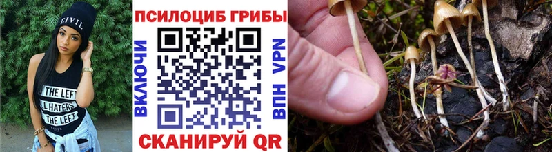 Псилоцибиновые грибы прущие грибы  где можно купить наркотик  Волжский 